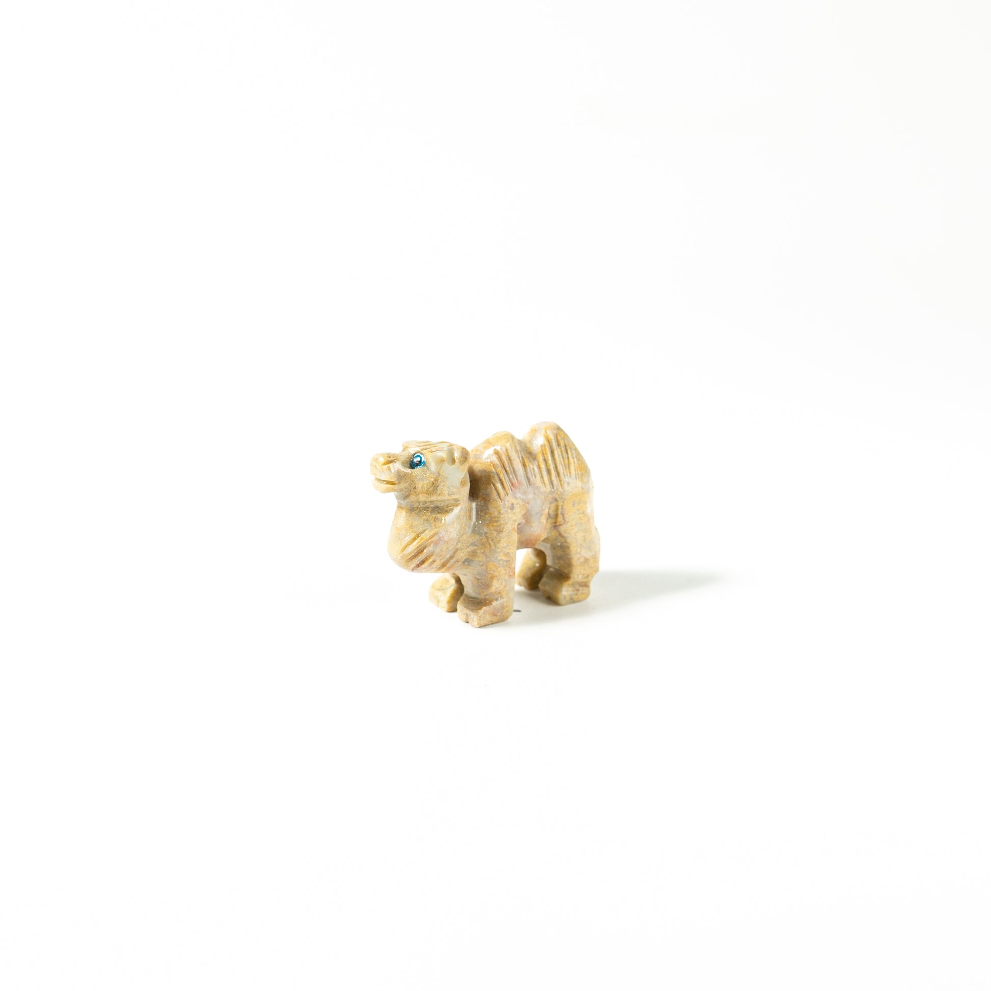 【Craving】- Spapstone Camel