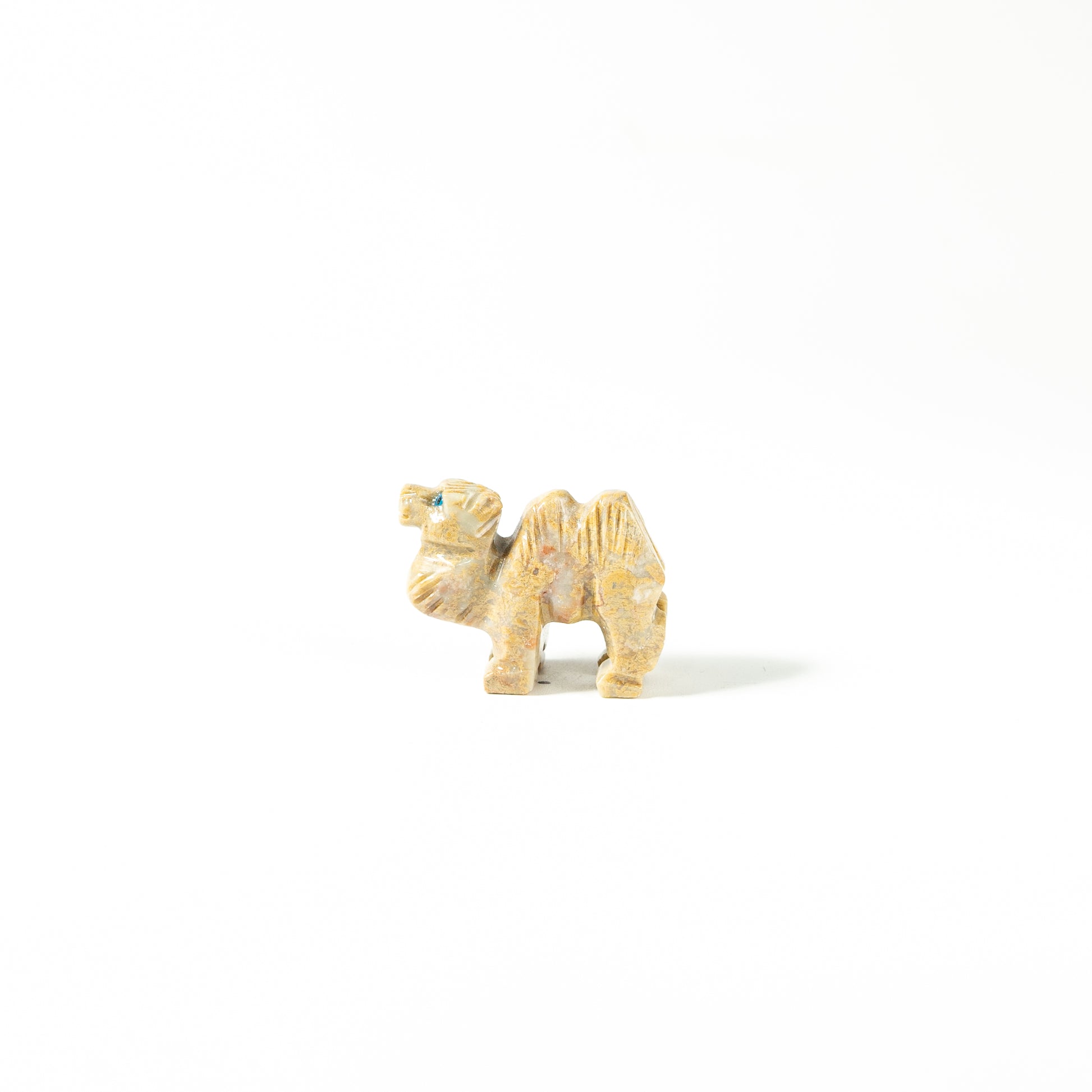【Craving】- Spapstone Camel