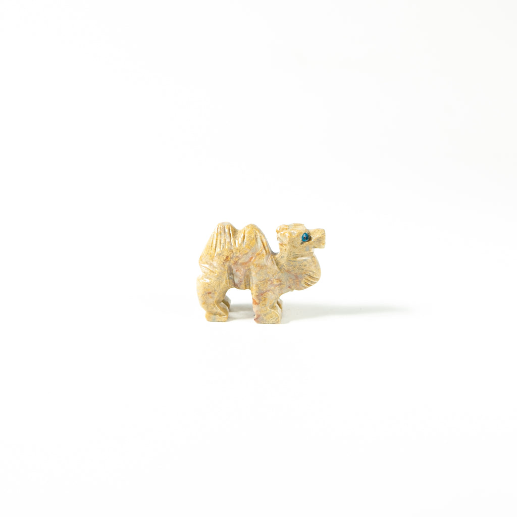 【Craving】- Spapstone Camel