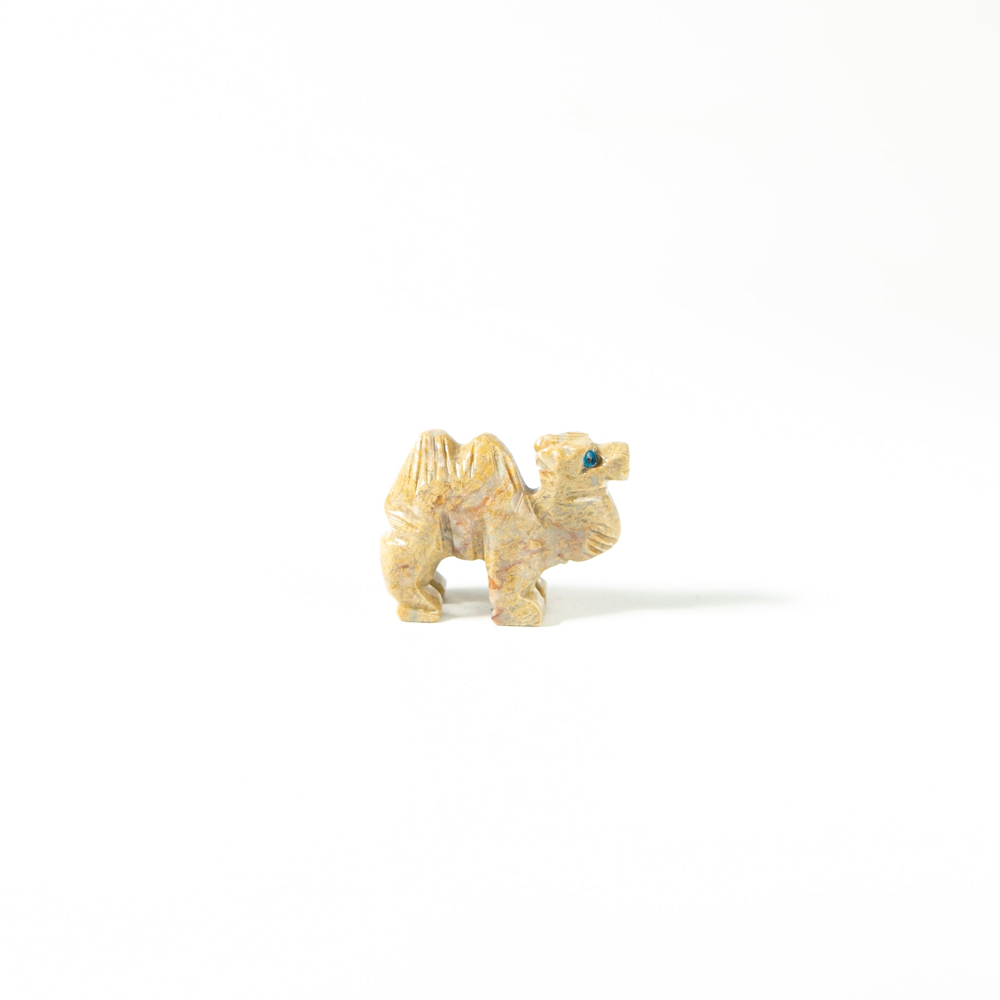 【Craving】- Spapstone Camel