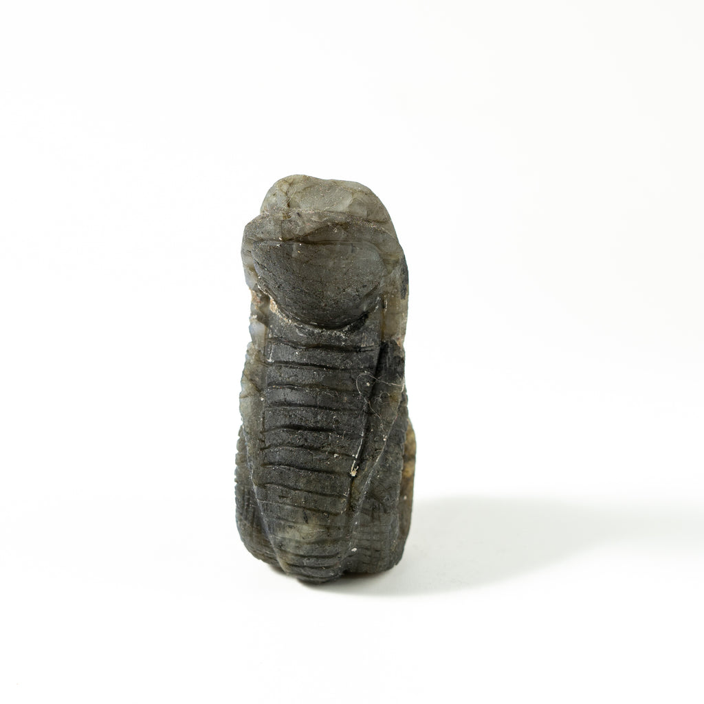 【Craving】- Labradorite Snack