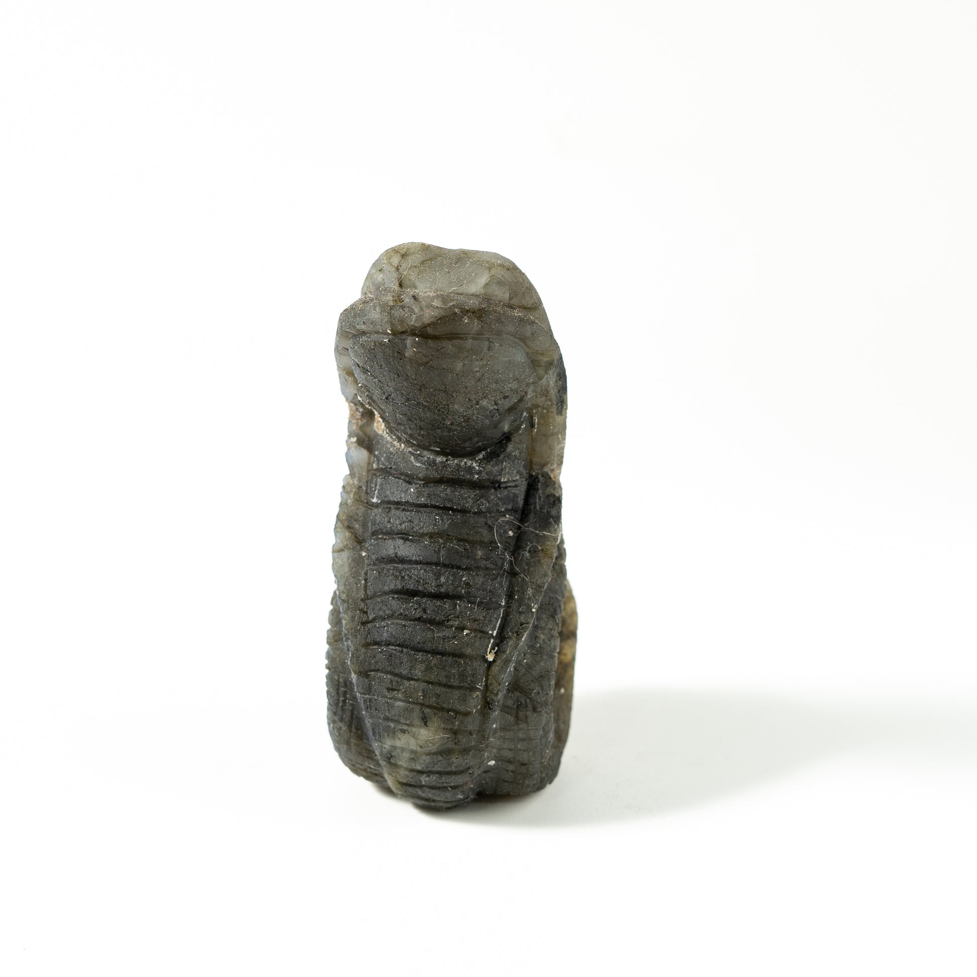 【Craving】- Labradorite Snack