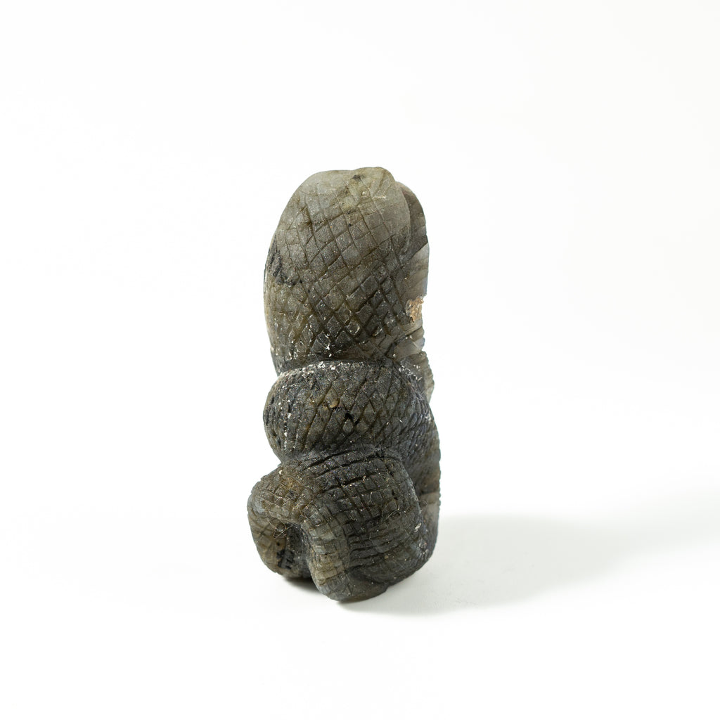【Craving】- Labradorite Snack