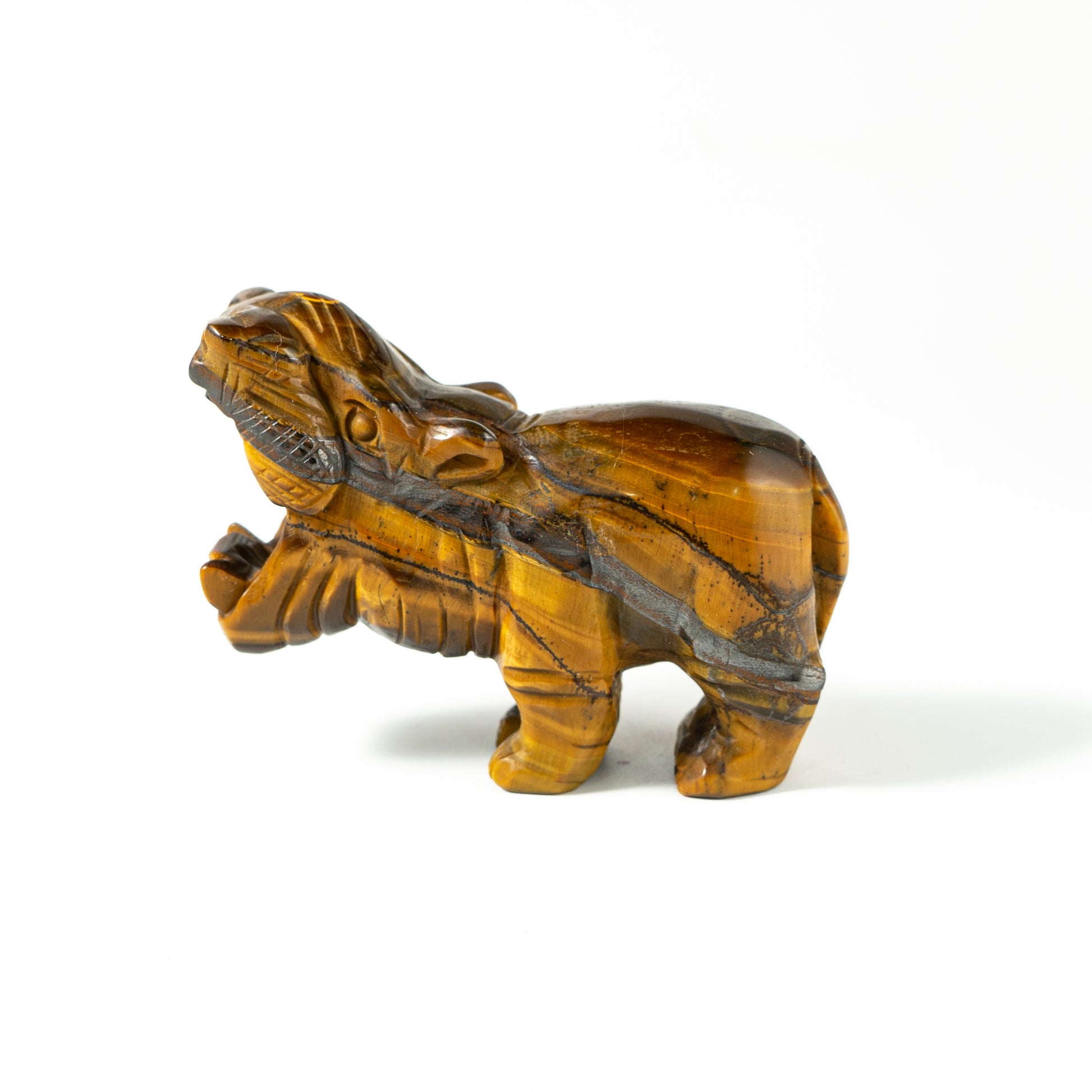 【Craving】- Tiger Eye Hippopotamus