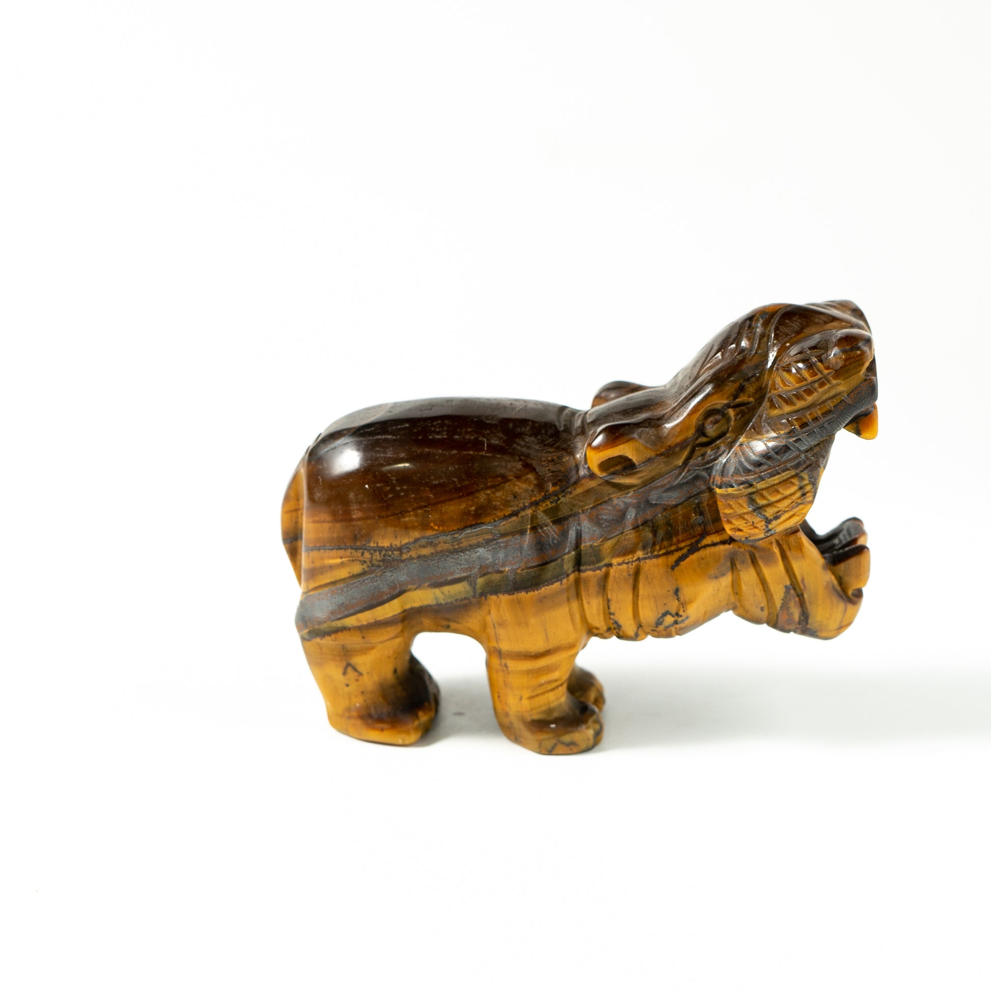 【Craving】- Tiger Eye Hippopotamus