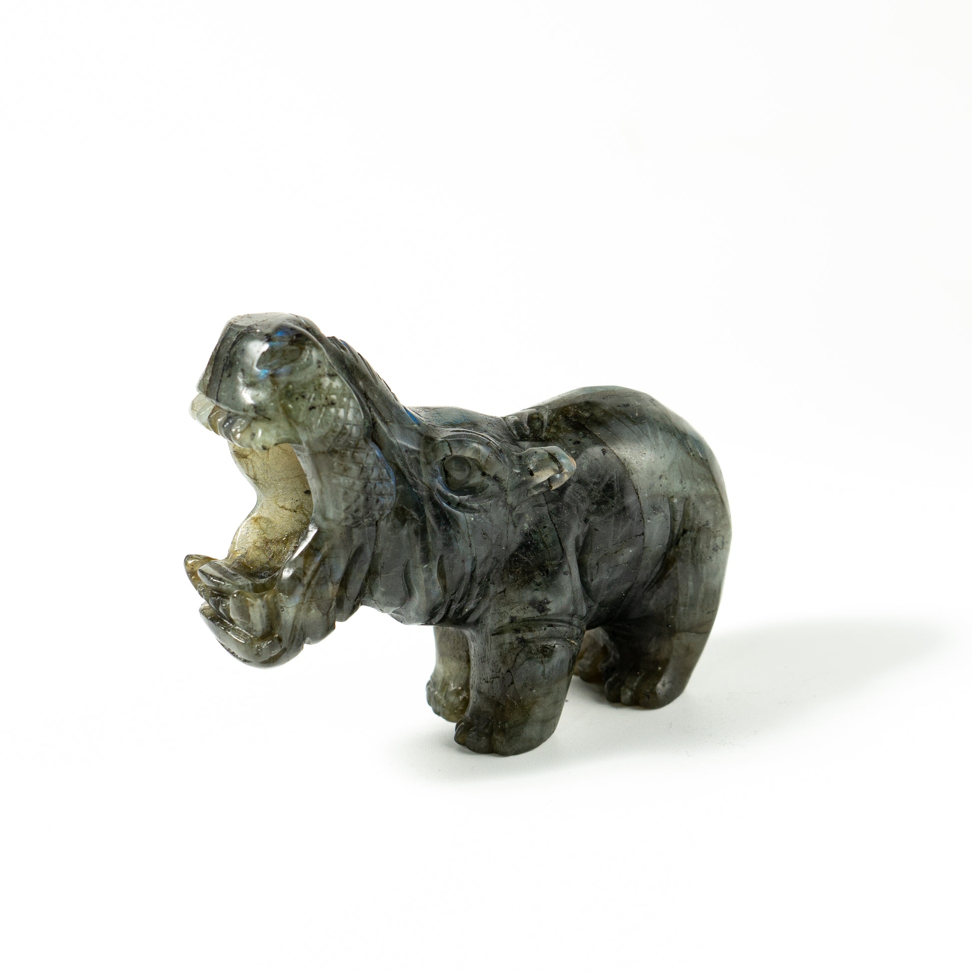 【Craving】- Labradorite Hippopotamus