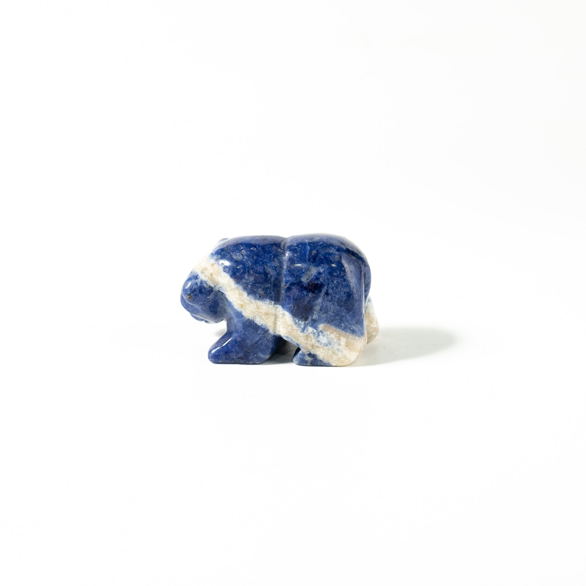 【Craving】- Sodalite Bear