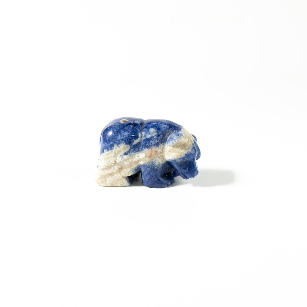 【Craving】- Sodalite Bear