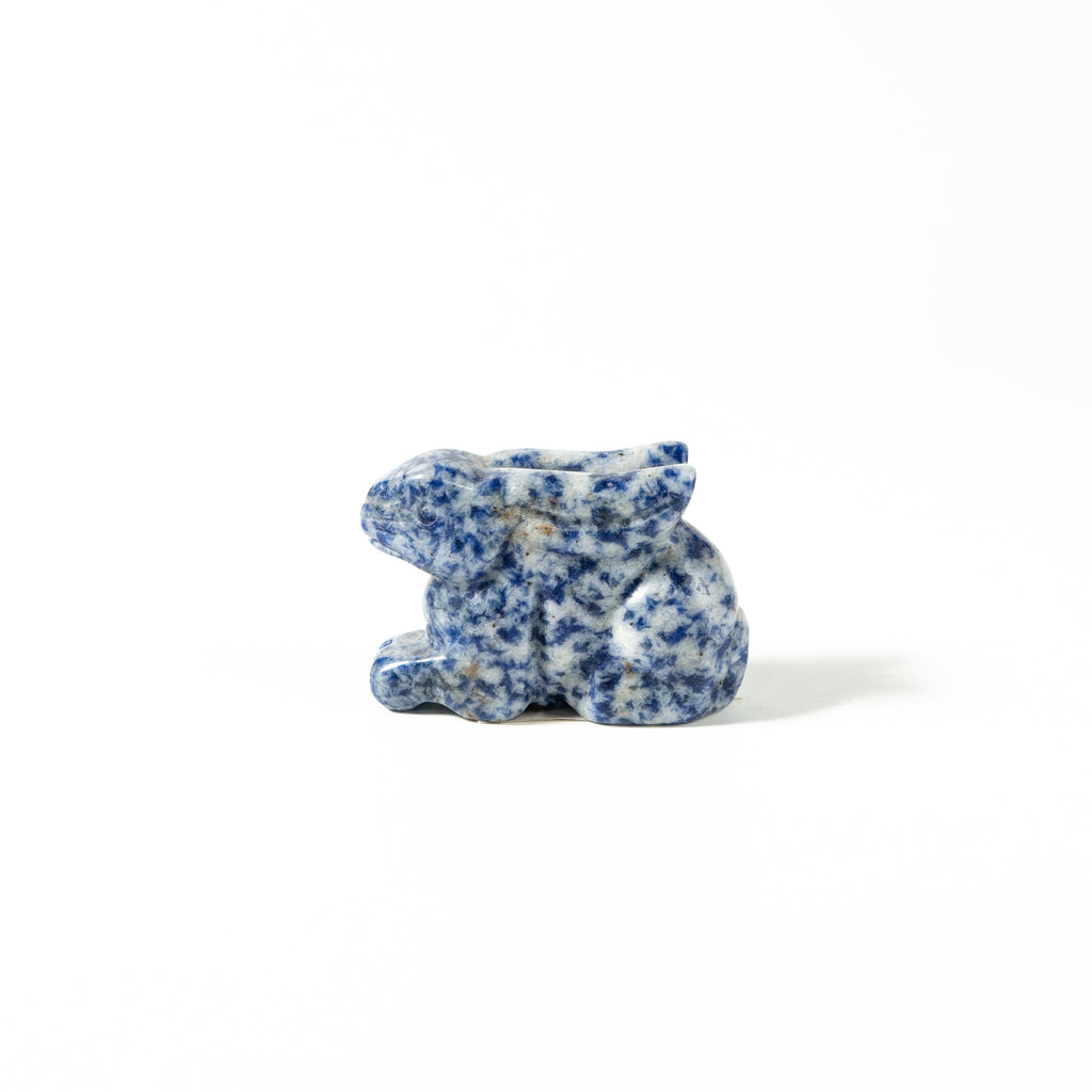 【Craving】- Blue Rabbit