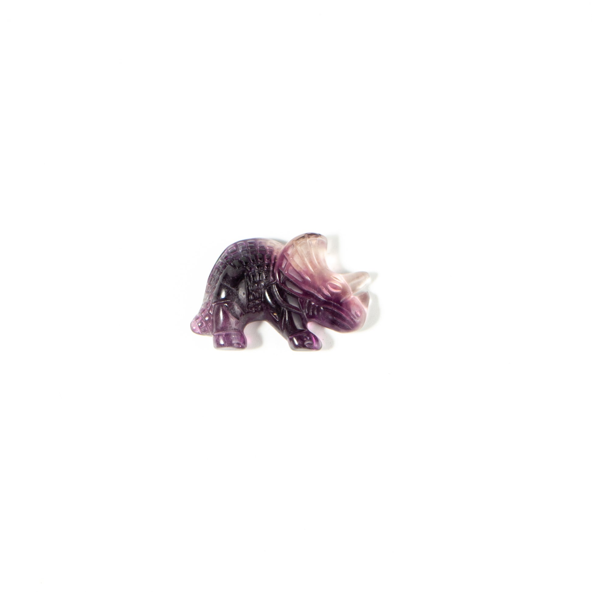 【Craving】- Fluorite Dinosaur