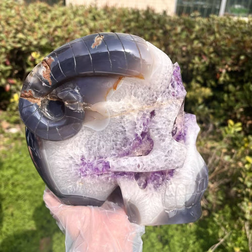 Amethyst skull